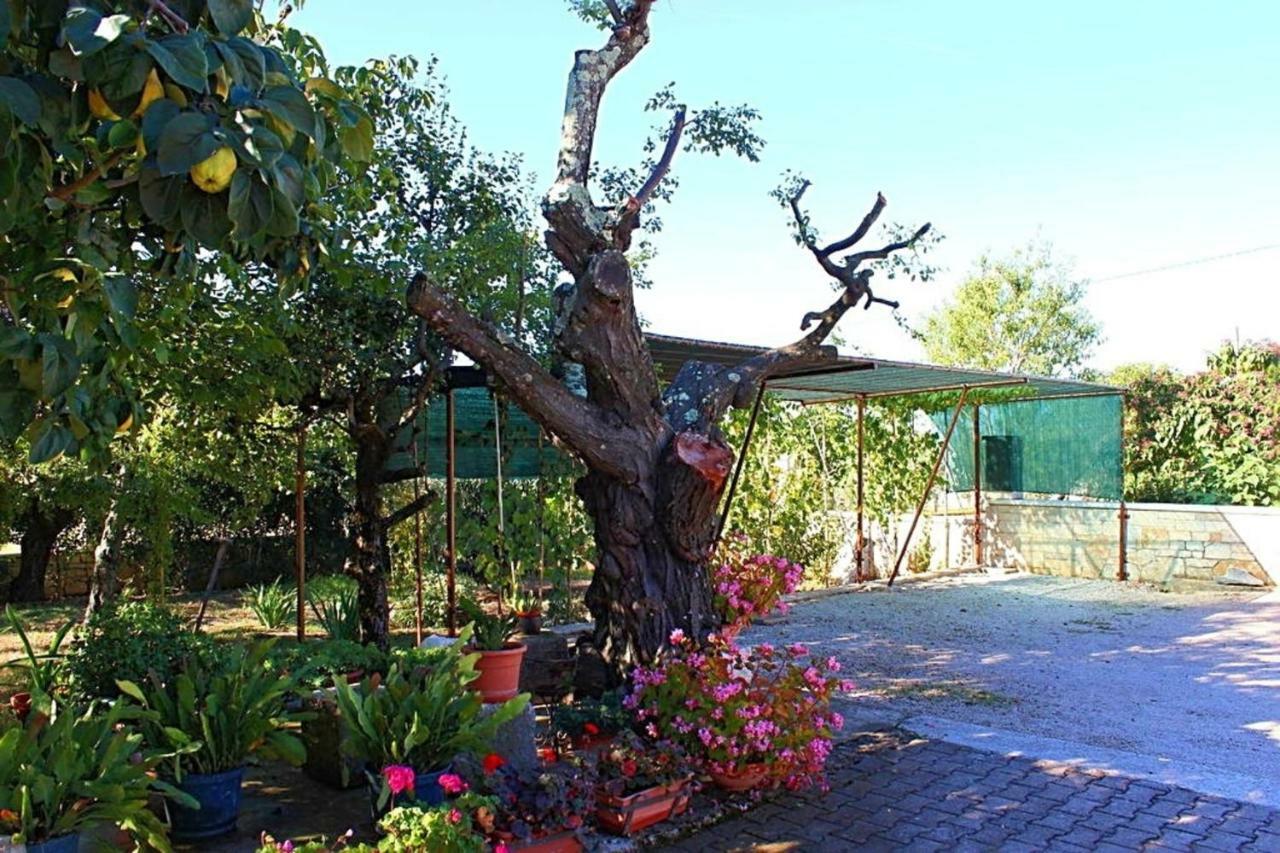 Palmira Apartment Porec Exterior photo